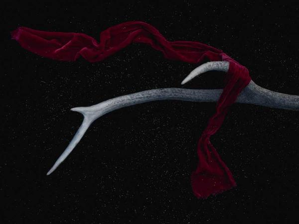 Magic Studio AI: Create Futuristic Cyberpunk Digital Masterpieces