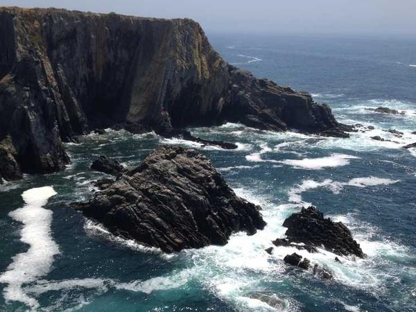 Magic Studio AI: Create Dreamy Watercolor Art Effects